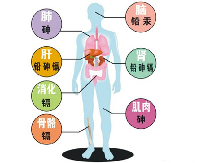 当心!环境因素可致出生缺陷,别让宝宝输在起跑线上(一)